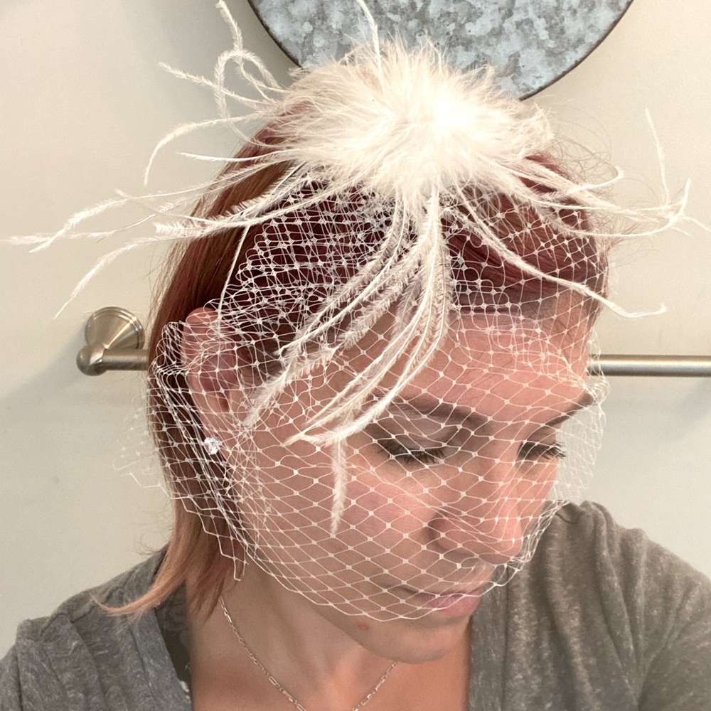 “Vintage” Style Birdcage Veil